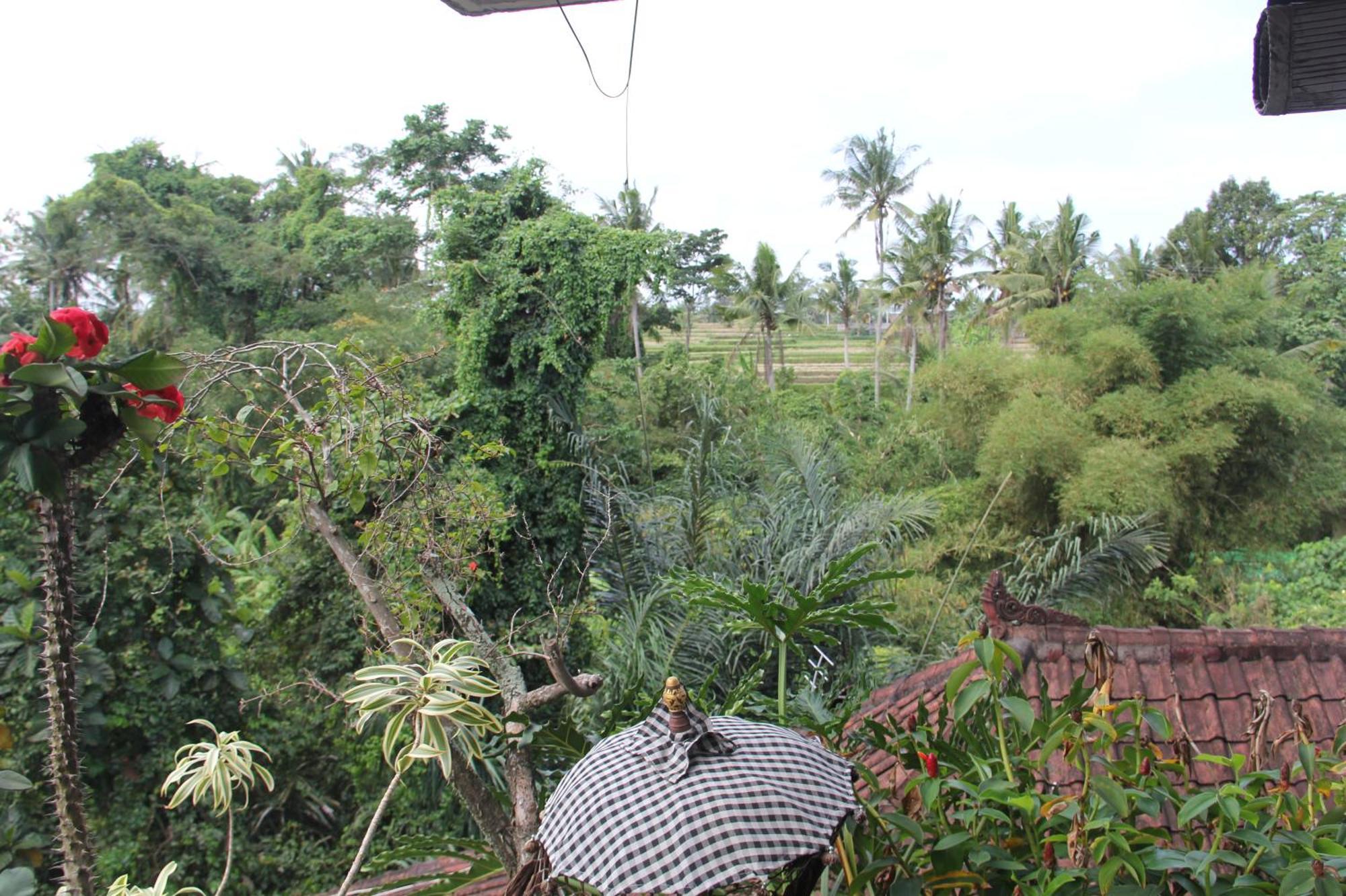 Ogek Home Stay Ubud Exterior foto
